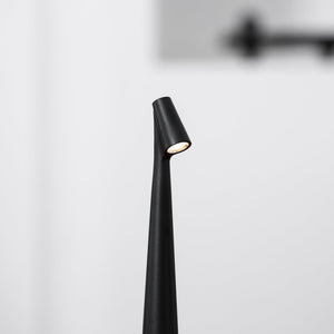 Cordless Sculpted Lamp