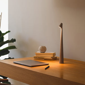 Cordless Sculpted Lamp