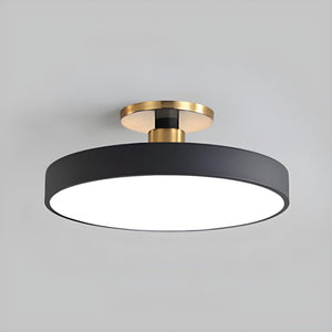 Aura Flush Mount Light