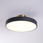 Aura Flush Mount Light