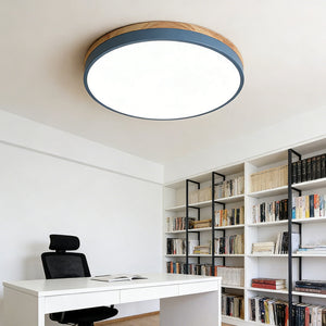Nordic Halo Flush Light
