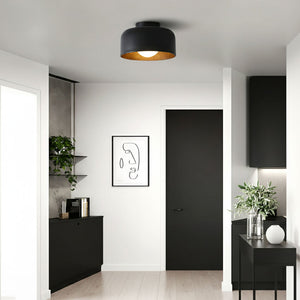 Nimbus Flush Ceiling Light