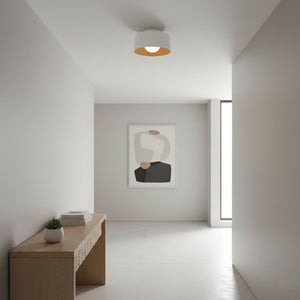 Nimbus Flush Ceiling Light
