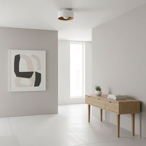 Nimbus Flush Ceiling Light