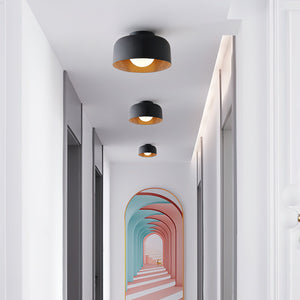 Nimbus Flush Ceiling Light