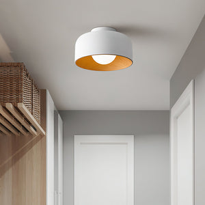 Nimbus Flush Ceiling Light