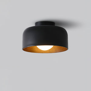 Nimbus Flush Ceiling Light