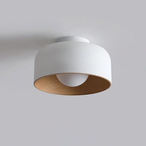 Nimbus Flush Ceiling Light