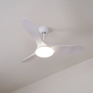 Curved Wood Fan Light