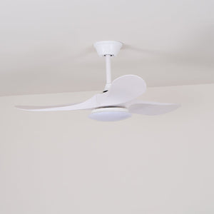 Curved Wood Fan Light