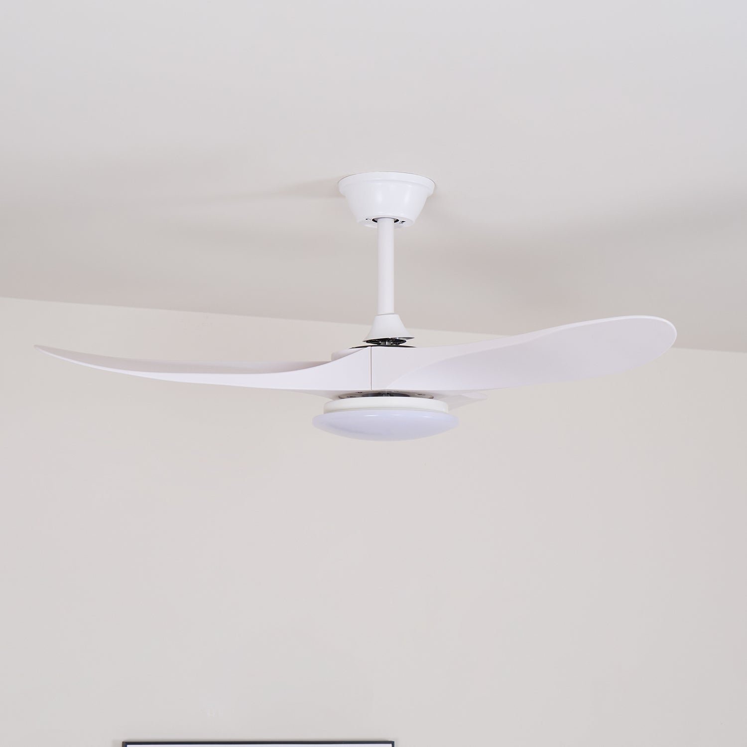 Curved Wood Fan Light