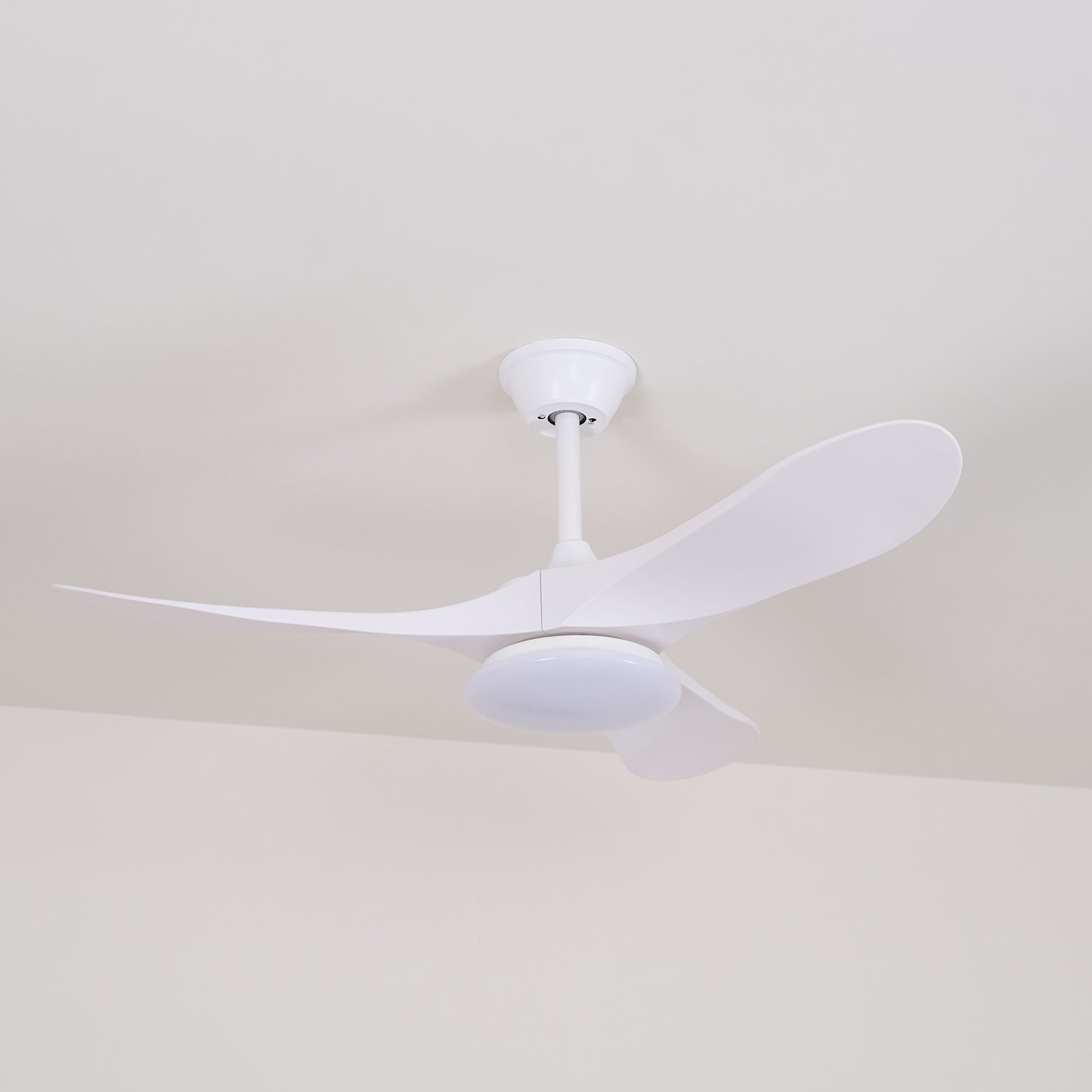 Curved Wood Fan Light