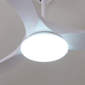 Curved Wood Fan Light