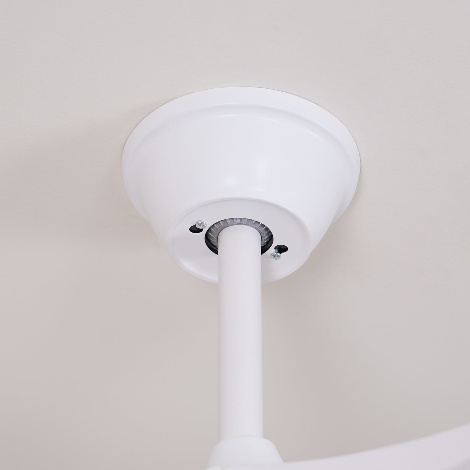 Curved Wood Fan Light