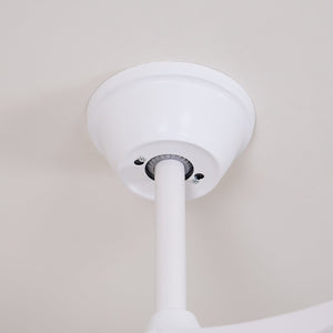 Curved Wood Fan Light