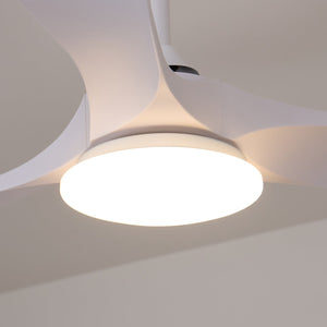 Curved Wood Fan Light