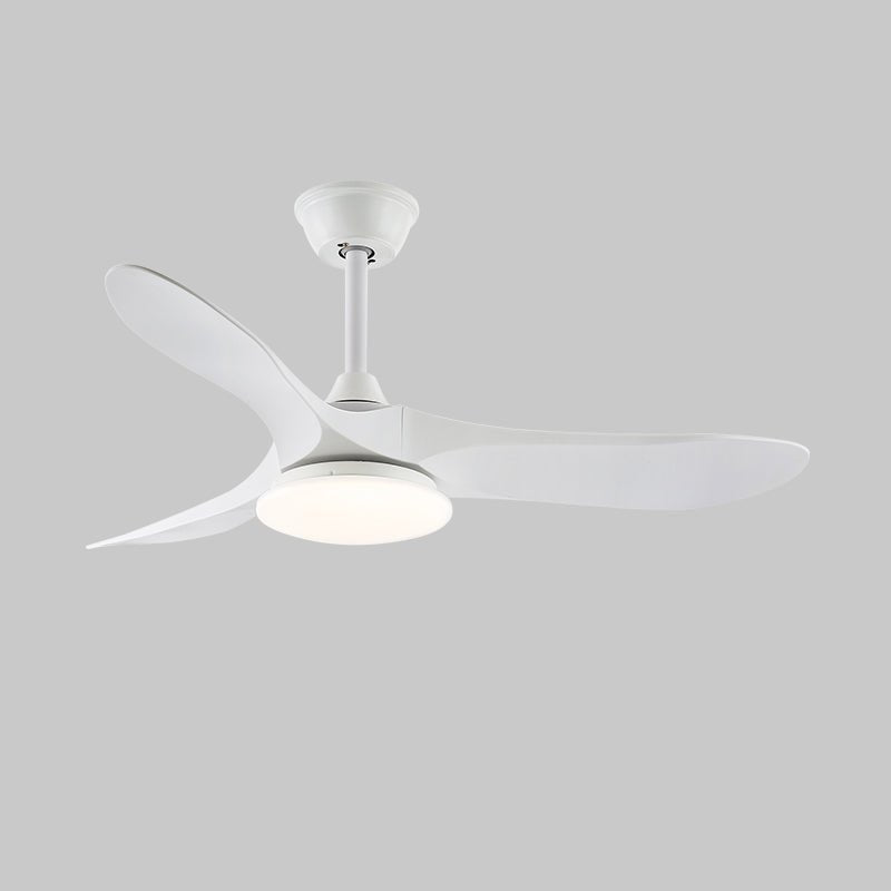 Curved Wood Fan Light