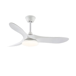 Curved Wood Fan Light