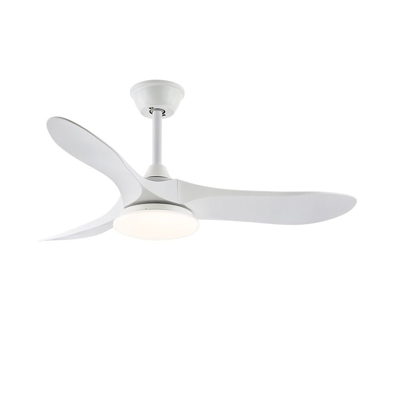 Curved Wood Fan Light