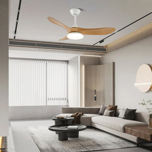 Curved Wood Fan Light