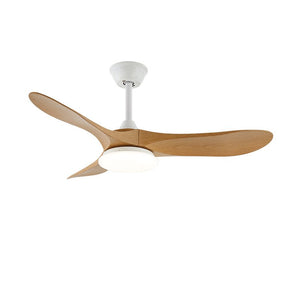 Curved Wood Fan Light