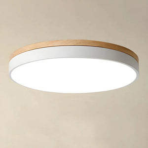 Nordic Halo Flush Light