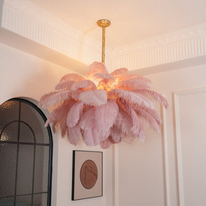 Feather Canopy Chandelier