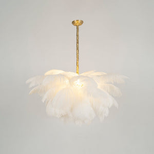 Feather Canopy Chandelier