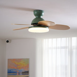 Petal Bloom Fan Light