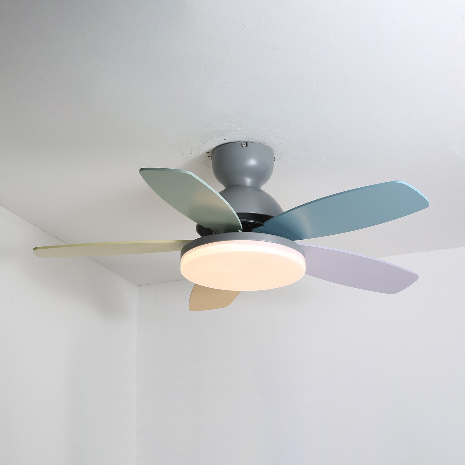 Petal Bloom Fan Light