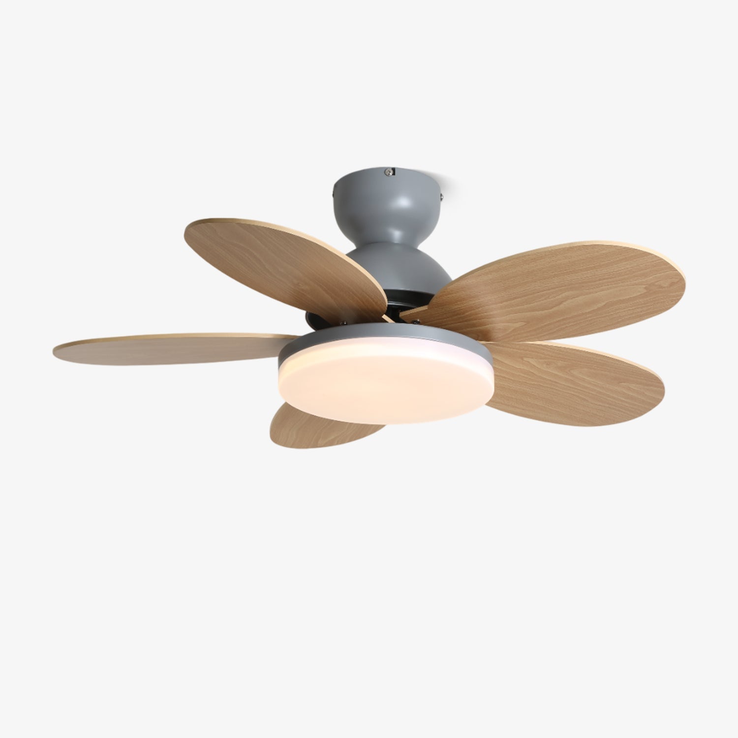 Petal Bloom Fan Light