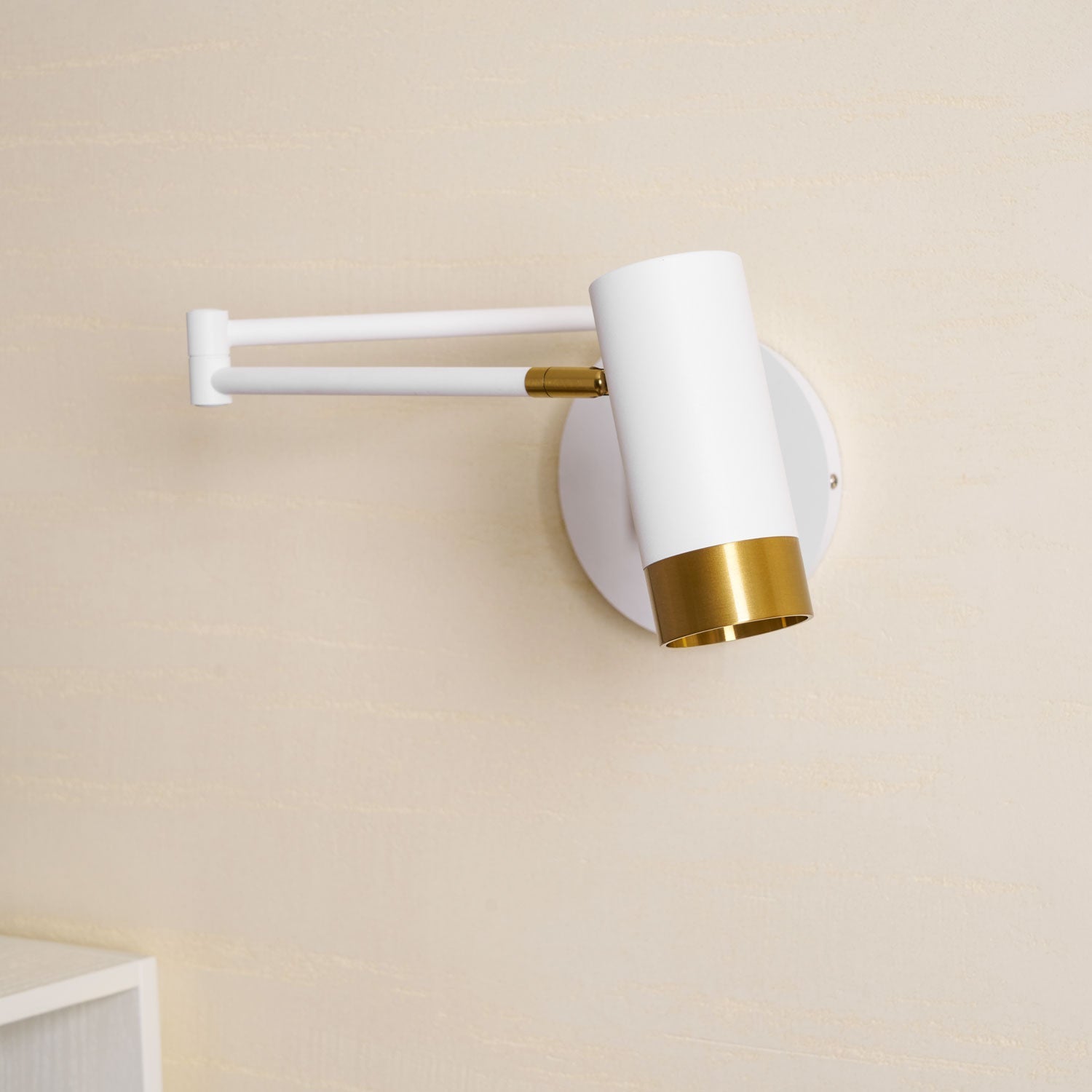 Vantage Swing Arm Light