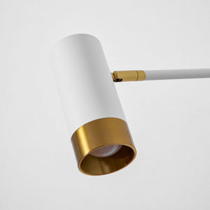 Vantage Swing Arm Light