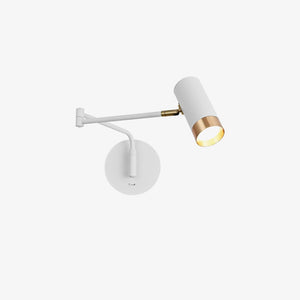 Vantage Swing Arm Light