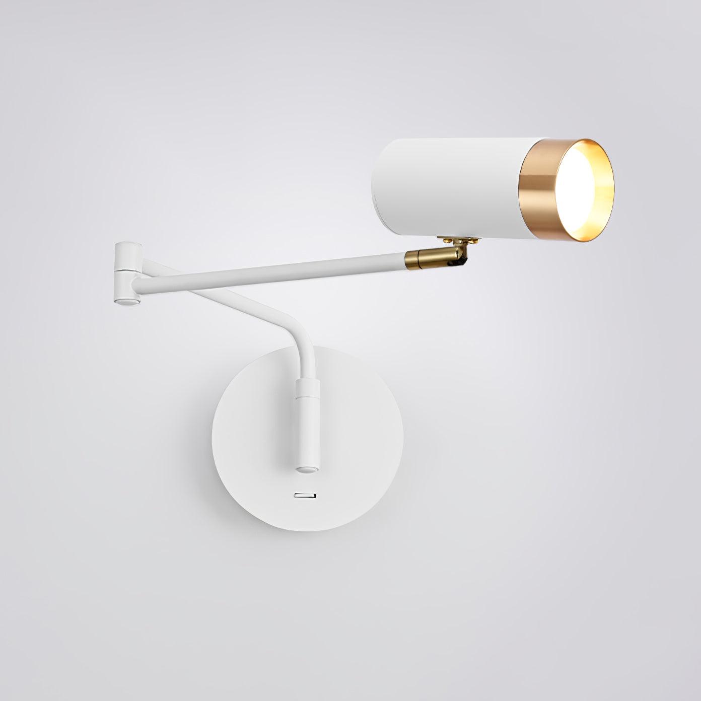 Vantage Swing Arm Light