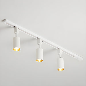 Cylinder Track Spotlight