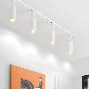 Cylinder Track Spotlight