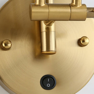 Adjustable Swing Arm Light
