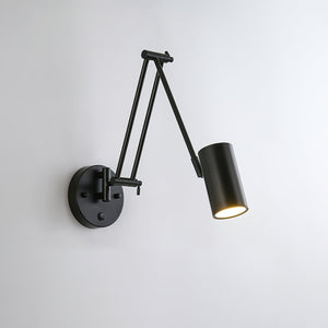 Adjustable Swing Arm Light