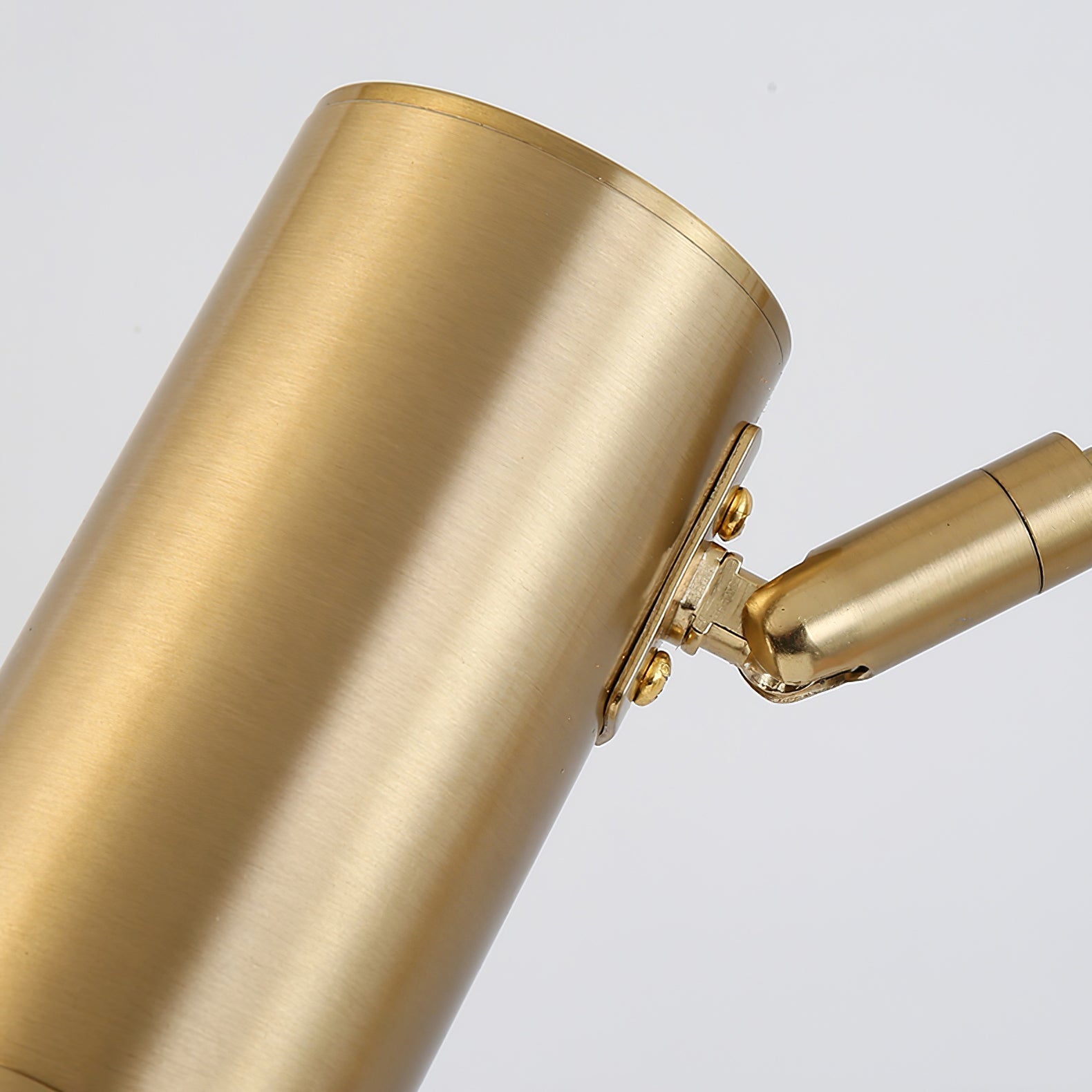 Adjustable Swing Arm Light