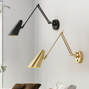 Adjustable Swing Arm Light