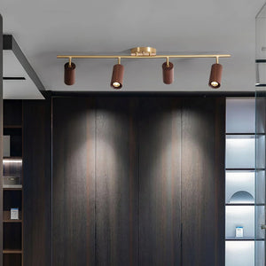 Walnut Spotlight Track