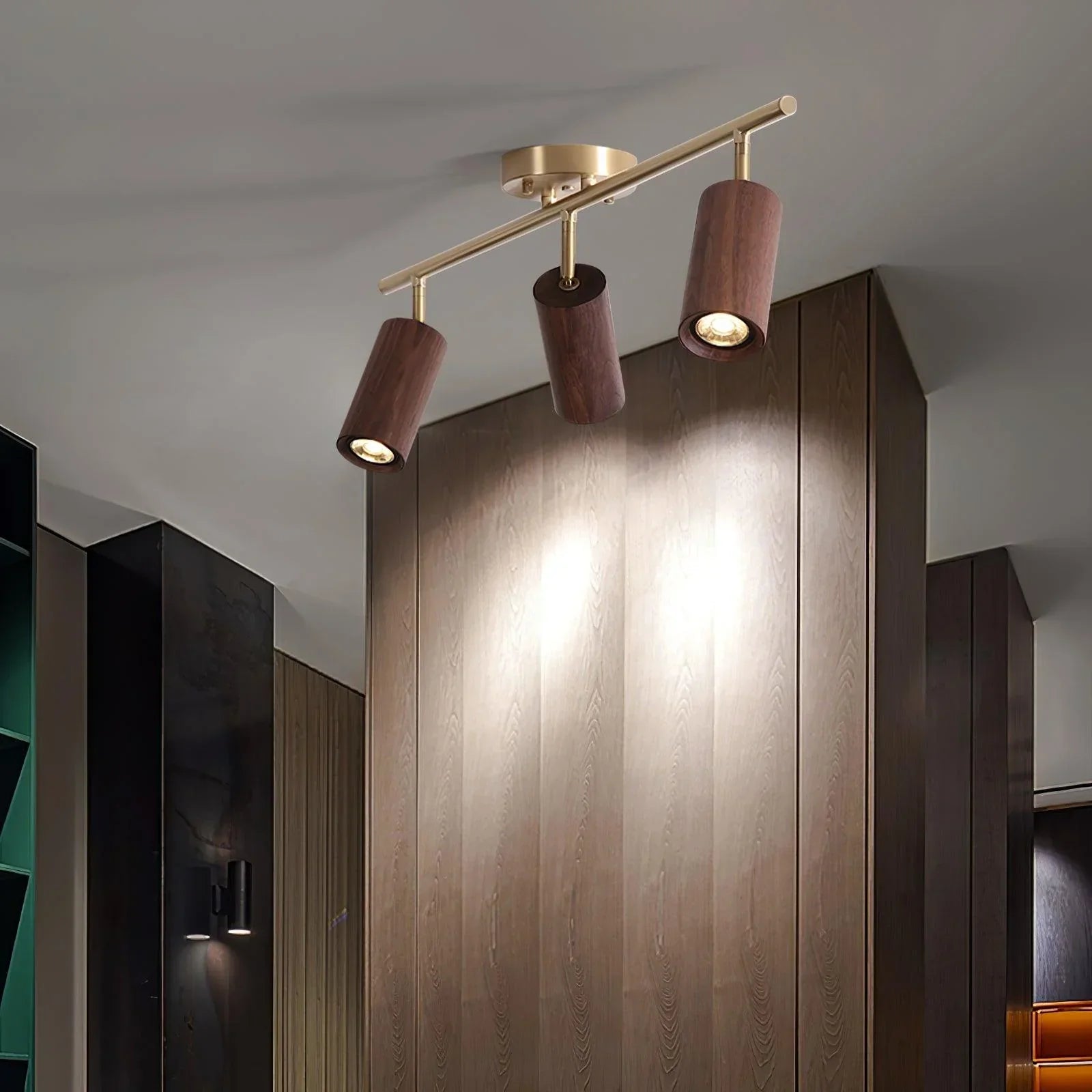 Walnut Spotlight Track