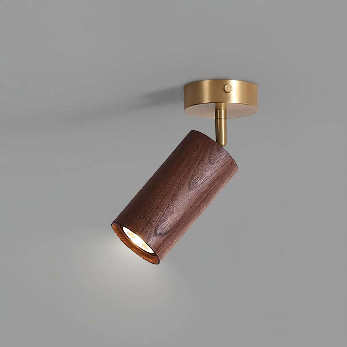 Walnut Spotlight Track