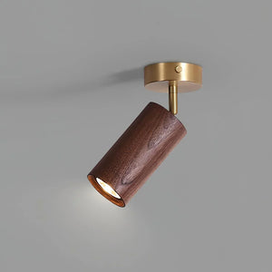Walnut Spotlight Track