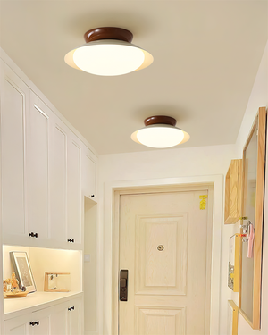 Paulo Mid-Century Dome Ceiling Light with Integrated LED