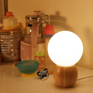 Frosted Globe Table Lamp