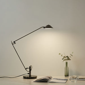 Articulate Task Lamp