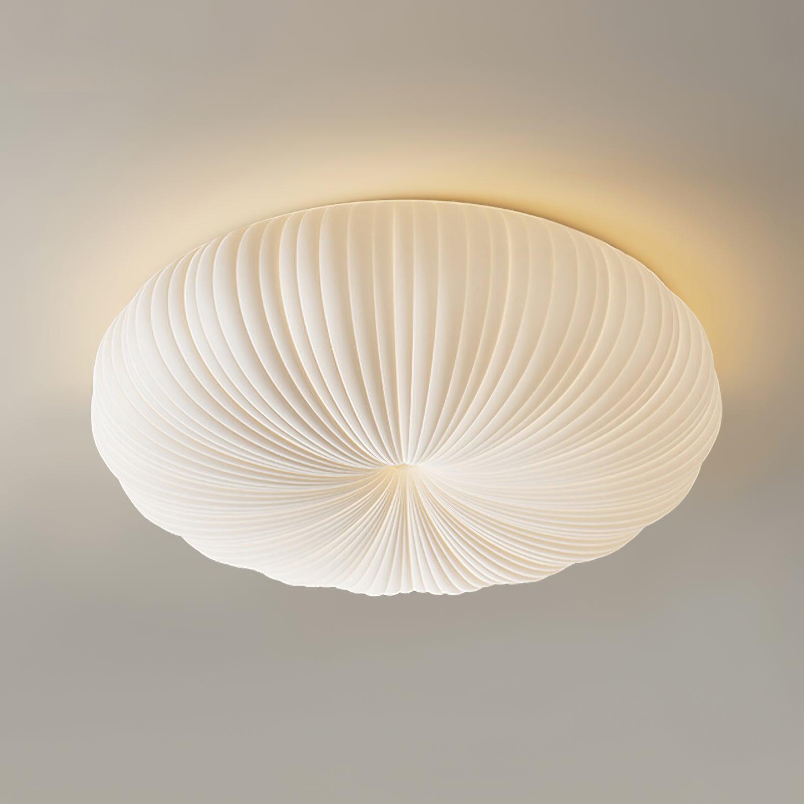 Ribbed Shell Ceiling Light