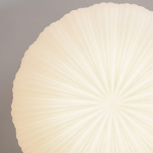 Ribbed Shell Ceiling Light